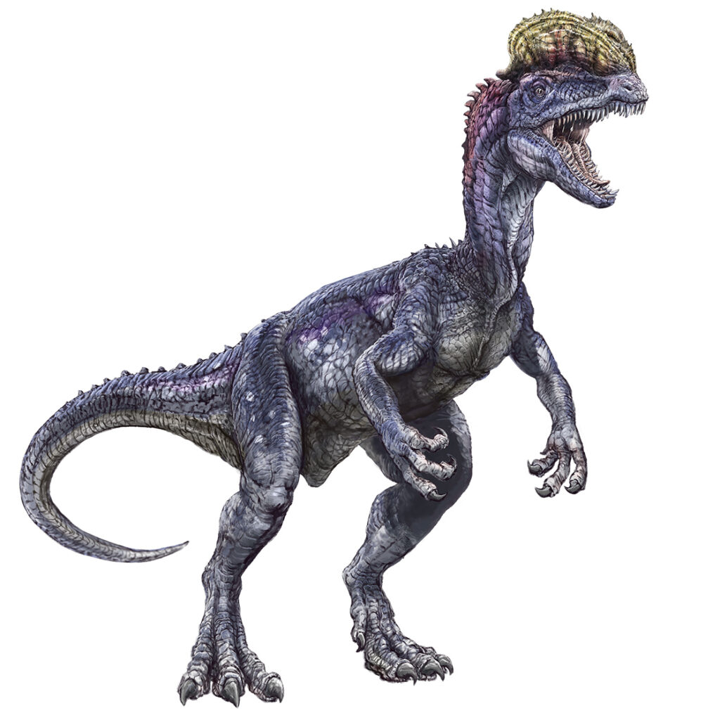 Dilophosaurus Raimund Frey
